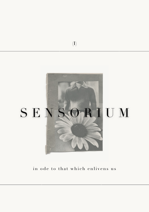 SENSORIUM (I)